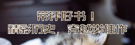 带评好书！精彩历史，穿越类佳作